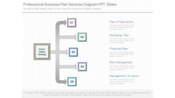 Professional_Business_Plan_Services_Diagram_Ppt_Slides_1.jpg