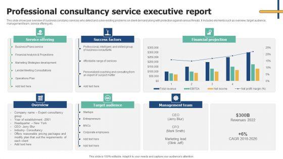 Professional_Consultancy_Service_Executive_Report_Demonstration_PDF_Slide_1.jpg