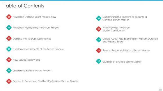 Professional_Scrum_Master_Process_IT_Table_Of_Contents_Elements_PDF_Slide_1.jpg