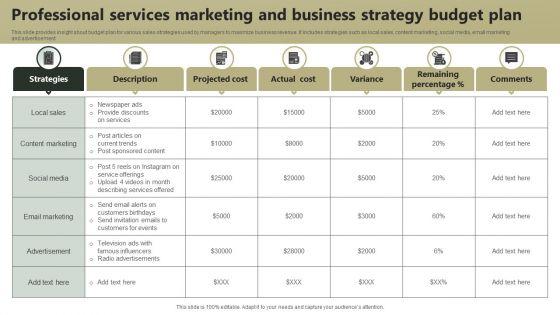 Professional_Services_Marketing_And_Business_Strategy_Budget_Plan_Microsoft_PDF_Slide_1.jpg