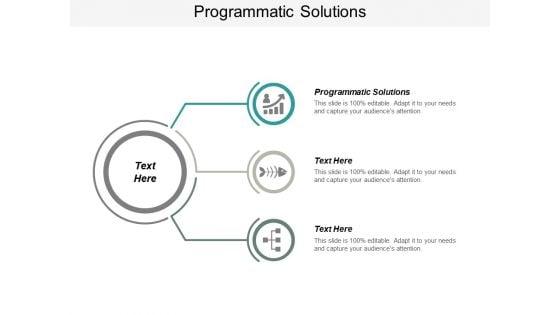 Programmatic_Solutions_Ppt_PowerPoint_Presentation_Summary_Brochure_Cpb_Slide_1.jpg