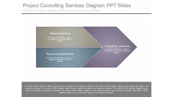 Project_Consulting_Services_Diagram_Ppt_Slides_1.jpg
