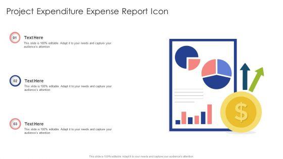 Project_Expenditure_Expense_Report_Icon_Ppt_Infographics_Skills_PDF_Slide_1.jpg