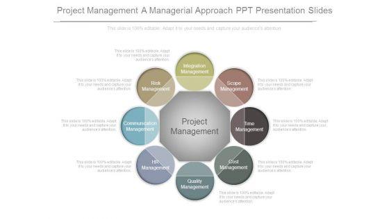 Project_Management_A_Managerial_Approach_Ppt_Presentation_Slides_1.jpg