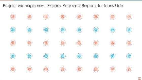 Project_Management_Experts_Required_Reports_Ppt_PowerPoint_Presentation_Complete_Deck_With_Slides_Slide_31.jpg