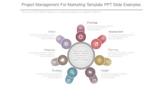 Project_Management_For_Marketing_Template_Ppt_Slide_Examples_1.jpg