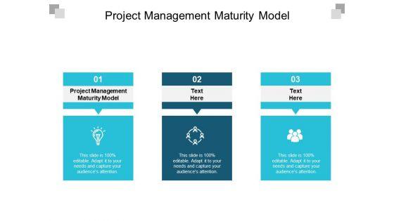 Project_Management_Maturity_Model_Ppt_PowerPoint_Presentation_Slides_Visuals_Cpb_Slide_1.jpg