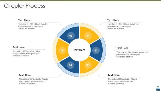 Project_Management_Professional_Certificate_Preparation_IT_Circular_Process_Download_PDF_Slide_1.jpg
