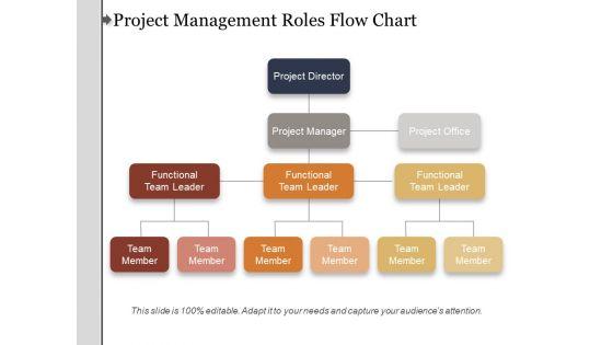 Project_Management_Roles_Flow_Chart_Ppt_PowerPoint_Presentation_Summary_Aids_Slide_1.jpg