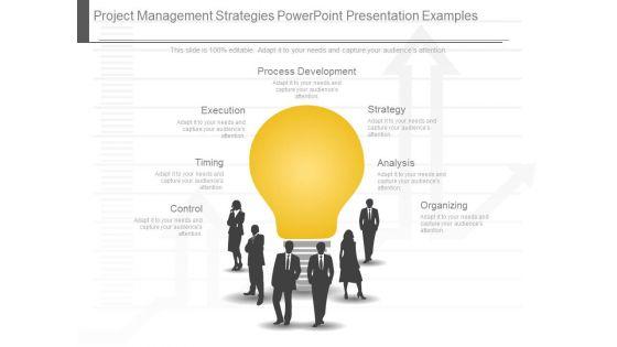 Project_Management_Strategies_Powerpoint_Presentation_Examples_1.jpg