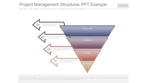 Project_Management_Structures_Ppt_Example_1.jpg
