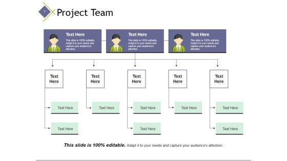 Project_Management_Team_Ppt_PowerPoint_Presentation_Complete_Deck_With_Slides_Slide_7.jpg
