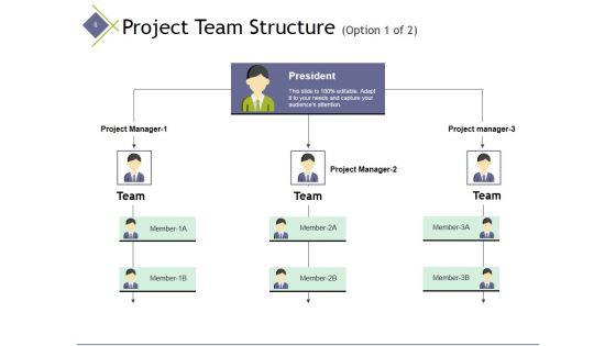 Project_Management_Team_Ppt_PowerPoint_Presentation_Complete_Deck_With_Slides_Slide_8.jpg