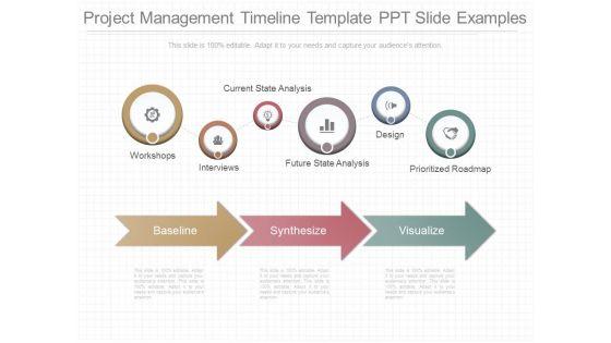 Project_Management_Timeline_Template_Ppt_Slide_Examples_1.jpg