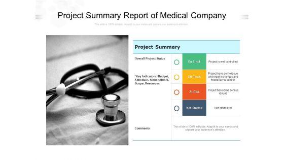Project_Summary_Report_Of_Medical_Company_Ppt_PowerPoint_Presentation_Professional_Samples_PDF_Slide_1.jpg