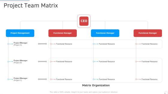 Project_Team_Matrix_Manufacturing_Control_Ppt_Pictures_Guide_PDF_Slide_1.jpg
