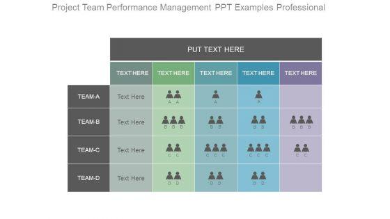 Project_Team_Performance_Management_Ppt_Examples_Professional_1.jpg