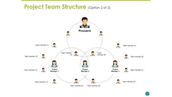 Project_Team_Structure_Ppt_PowerPoint_Presentation_Layouts_Background_Slide_1.jpg