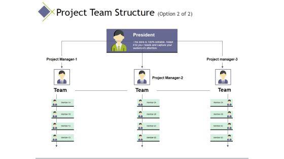 Project_Team_Structure_Template_2_Ppt_PowerPoint_Presentation_Infographics_Ideas_Slide_1.jpg
