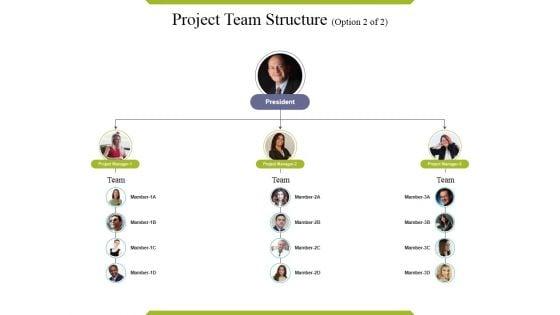 Project_Team_Structure_Template_Ppt_PowerPoint_Presentation_Pictures_Elements_Slide_1.jpg
