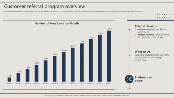 Promotion_Techniques_Used_By_B2B_Firms_Customer_Referral_Program_Overview_Portrait_PDF_Slide_1.jpg