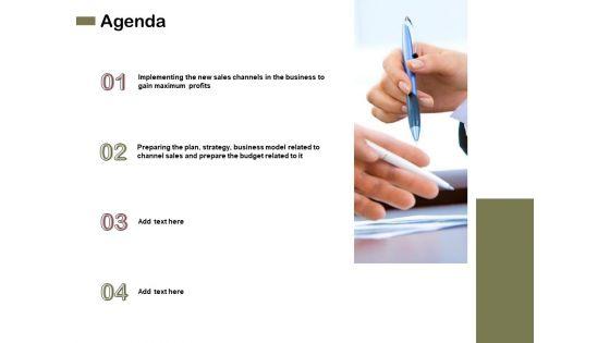 Promotional_Channels_And_Action_Plan_For_Increasing_Revenues_Ppt_PowerPoint_Presentation_Complete_Deck_With_Slides_Slide_2.jpg