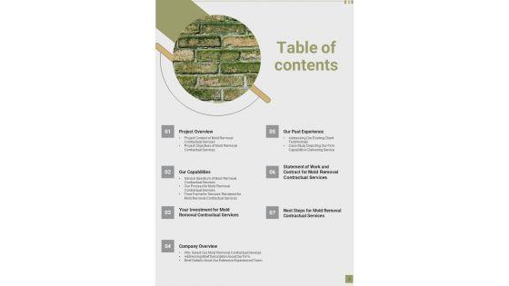 Proposal_For_Mold_Removal_Contractual_Services_Example_Document_Report_Doc_Pdf_Ppt_Slide_3.jpg