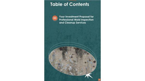 Proposal_For_Professional_Mold_Inspection_And_Cleanup_Services_Example_Document_Report_Doc_Pdf_Ppt_Slide_10.jpg