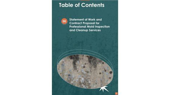 Proposal_For_Professional_Mold_Inspection_And_Cleanup_Services_Example_Document_Report_Doc_Pdf_Ppt_Slide_21.jpg