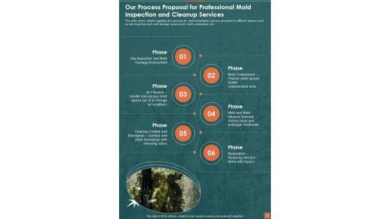 Proposal_For_Professional_Mold_Inspection_And_Cleanup_Services_Example_Document_Report_Doc_Pdf_Ppt_Slide_9.jpg