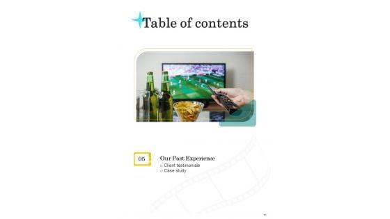 Proposal_For_Television_Advertisement_Services_Example_Document_Report_Doc_Pdf_Ppt_Slide_17.jpg