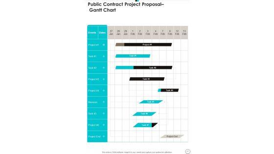 Public_Contract_Project_Proposal_Example_Document_Report_Doc_Pdf_Ppt_Slide_17.jpg