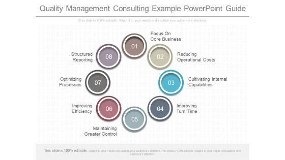 Quality_Management_Consulting_Example_Powerpoint_Guide_1.jpg