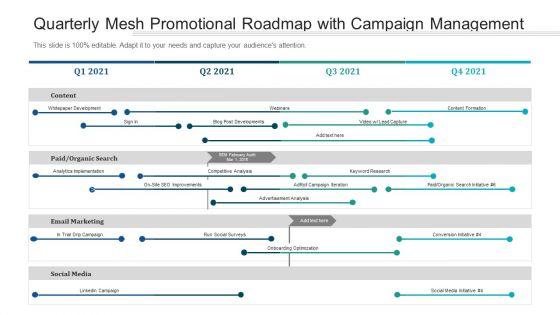 Quarterly_Mesh_Promotional_Roadmap_With_Campaign_Management_Background_Slide_1.jpg