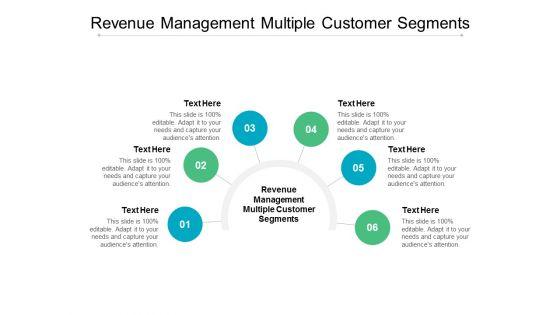 Revenue_Management_Multiple_Customer_Segments_Ppt_PowerPoint_Presentation_Ideas_Guide_Cpb_Slide_1.jpg