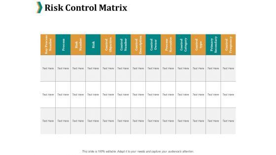 Risk_Control_Matrix_Ppt_PowerPoint_Presentation_Summary_Guidelines_Slide_1.jpg