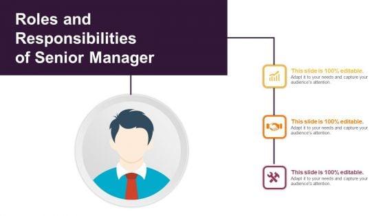 Roles_And_Responsibilities_Of_Senior_Manager_Ppt_PowerPoint_Presentation_Slides_Images_PDF_Slide_1.jpg