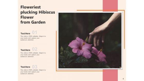 Rose_Mallow_Inspection_Hibiscus_Flower_Ppt_PowerPoint_Presentation_Complete_Deck_Slide_4.jpg