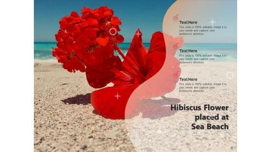 Rose_Mallow_Inspection_Hibiscus_Flower_Ppt_PowerPoint_Presentation_Complete_Deck_Slide_6.jpg