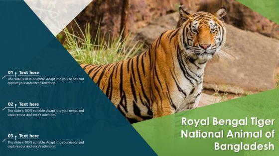 Royal_Bengal_Tiger_National_Animal_Of_Bangladesh_Ppt_PowerPoint_Presentation_Gallery_Graphics_Download_PDF_Slide_1.jpg