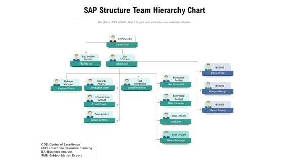 SAP_Structure_Team_Hierarchy_Chart_Ppt_PowerPoint_Presentation_File_Examples_PDF_Slide_1.jpg
