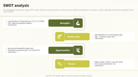 SWOT_Analysis_Global_Food_Products_Company_Profile_Microsoft_PDF_Slide_1.jpg