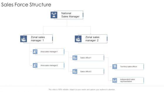 Sales_Force_Structure_Startup_Business_Strategy_Ppt_Model_Sample_PDF_Slide_1.jpg