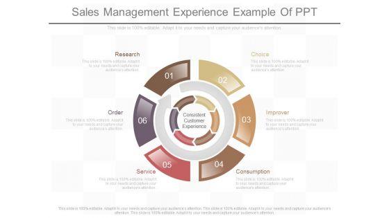 Sales_Management_Experience_Example_Of_Ppt_1.jpg
