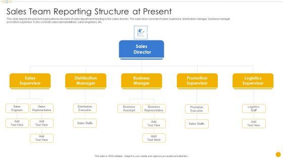 Sales_Management_Playbook_Sales_Team_Reporting_Structure_At_Present_Introduction_PDF_Slide_1.jpg