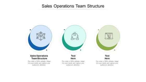 Sales_Operations_Team_Structure_Ppt_PowerPoint_Presentation_Summary_Gallery_Cpb_Slide_1.jpg