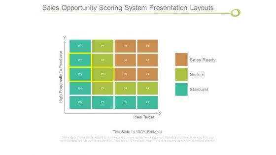 Sales_Opportunity_Scoring_System_Presentation_Layouts_1.jpg