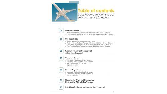 Sales_Proposal_For_Commercial_Aviation_Service_Company_Example_Document_Report_Doc_Pdf_Ppt_Slide_3.jpg
