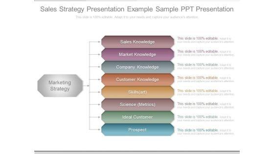 Sales_Strategy_Presentation_Example_Sample_Ppt_Presentation_1.jpg