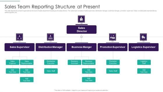 Sales_Techniques_Playbook_Sales_Team_Reporting_Structure_At_Present_Portrait_PDF_Slide_1.jpg